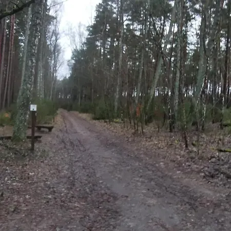 Osada Blanka Trzy Jeziora ,las Swornegacie * Male Swornegacie