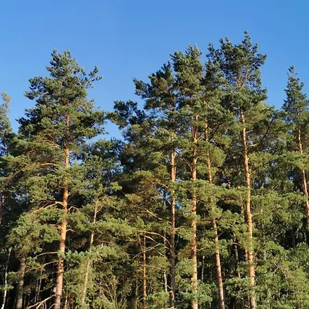 Osada Blanka Trzy Jeziora ,las Swornegacie