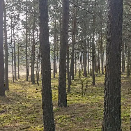 Osada Blanka Trzy Jeziora ,las Swornegacie Male Swornegacie