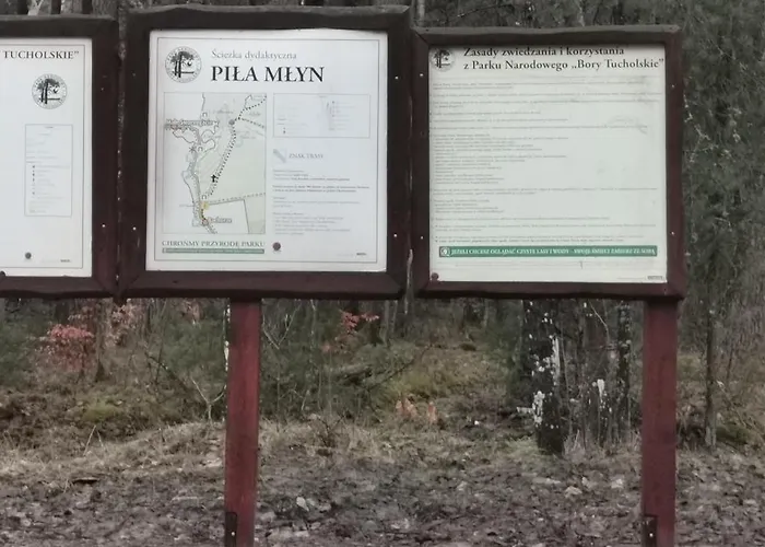 Semesterbostad Osada Blanka Trzy Jeziora ,las Swornegacie