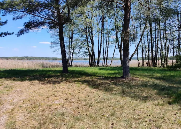 Osada Blanka Trzy Jeziora ,las Swornegacie 度假居 *