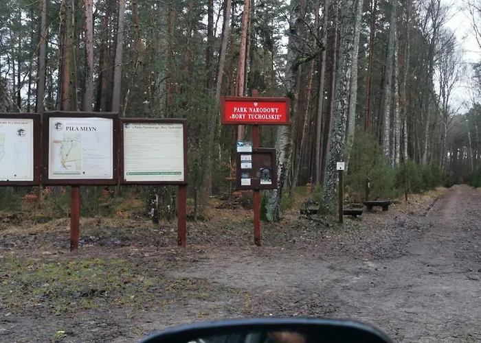 Osada Blanka Trzy Jeziora ,las Swornegacie