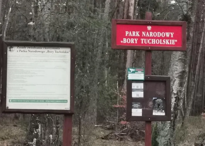 Osada Blanka Trzy Jeziora ,las Swornegacie 度假居