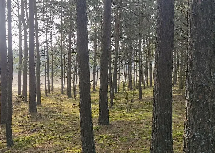 Osada Blanka Trzy Jeziora ,las Swornegacie Male Swornegacie